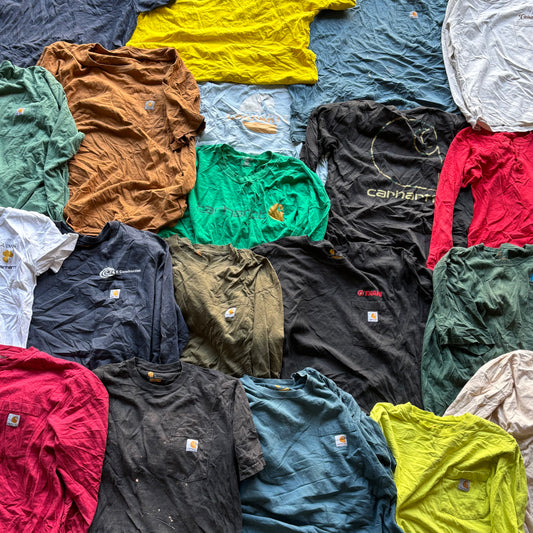 CARHARTT T-Shirt ベール