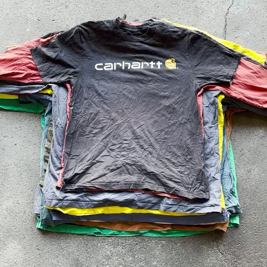 CARHARTT T-Shirt ベール