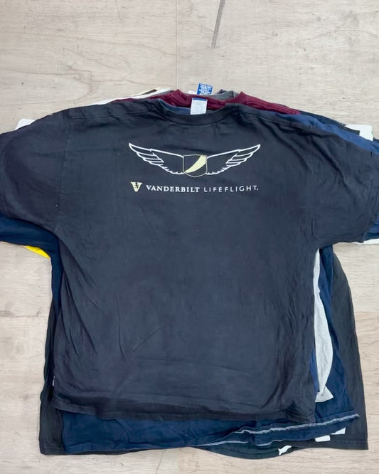 CHAMPION Tシャツ ベール